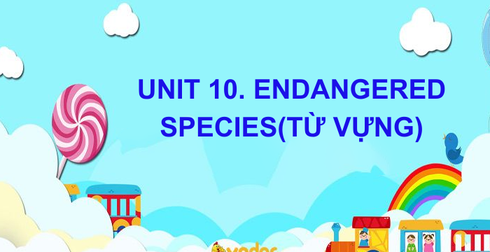 Từ Vựng Unit 10 Endangered Species Tiếng Anh Lớp 12